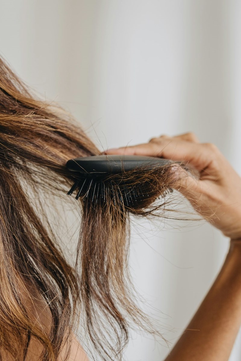 Cheezburger Image 10616185088