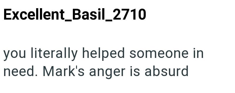 Excellent_Basil_2710 you literally helped someone in need. Mark's anger is absurd