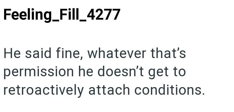 Feeling_Fill_4277 He said fine, whatever that's permission he doesn't get to retroactively attach conditions.