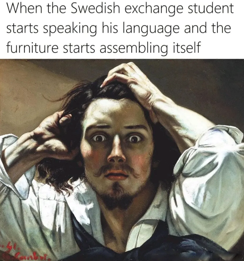When the Swedish exchange student starts speaking his language and the furniture starts assembling itself