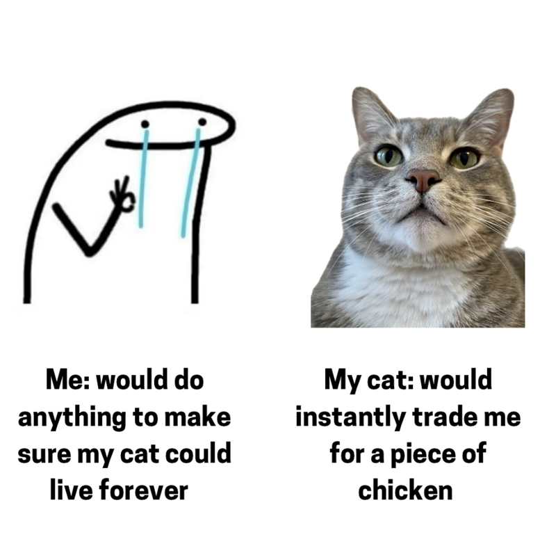Me: would do anything to make sure my cat could live forever My cat: would instantly trade me for a piece of chicken