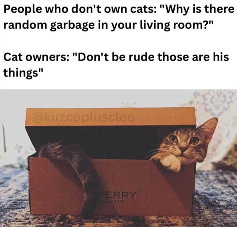 People who don't own cats: "Why is there random garbage in your living room?" Cat owners: "Don't be rude those are his things" @kuzcopluscleo PERRY Nine 1935