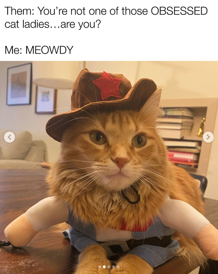 Them: You're not one of those OBSESSED cat ladies...are you? Me: MEOWDY > 7