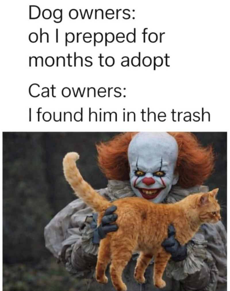 Dog owners: oh I prepped for months to adopt Cat owners: I found him in the trash