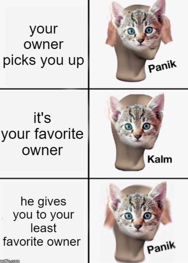 your owner picks you up it's your favorite owner he gives you to your least favorite owner mqflip.com Panik Kalm Panik