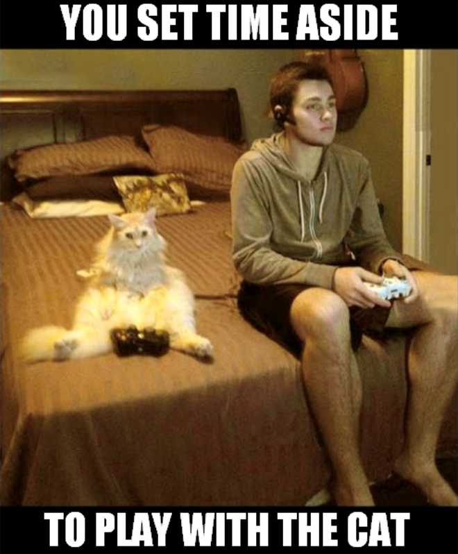YOU SET TIME ASIDE TO PLAY WITH THE CAT