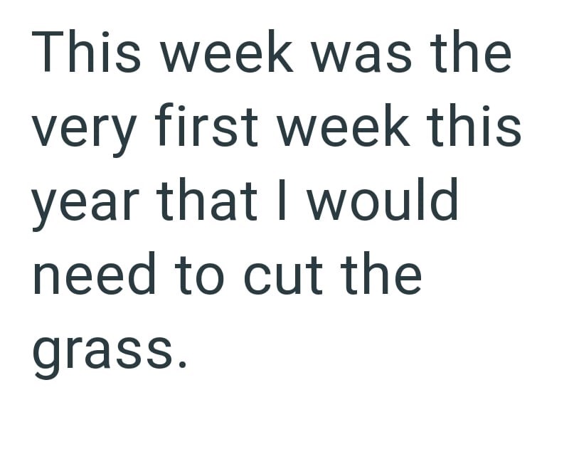 Cheezburger Image 10616213760