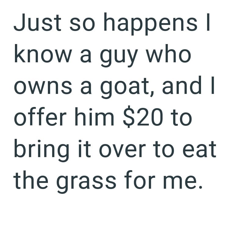 Cheezburger Image 10616214016