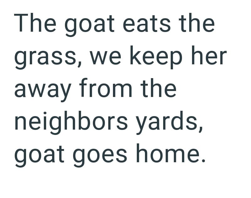 Cheezburger Image 10616214784