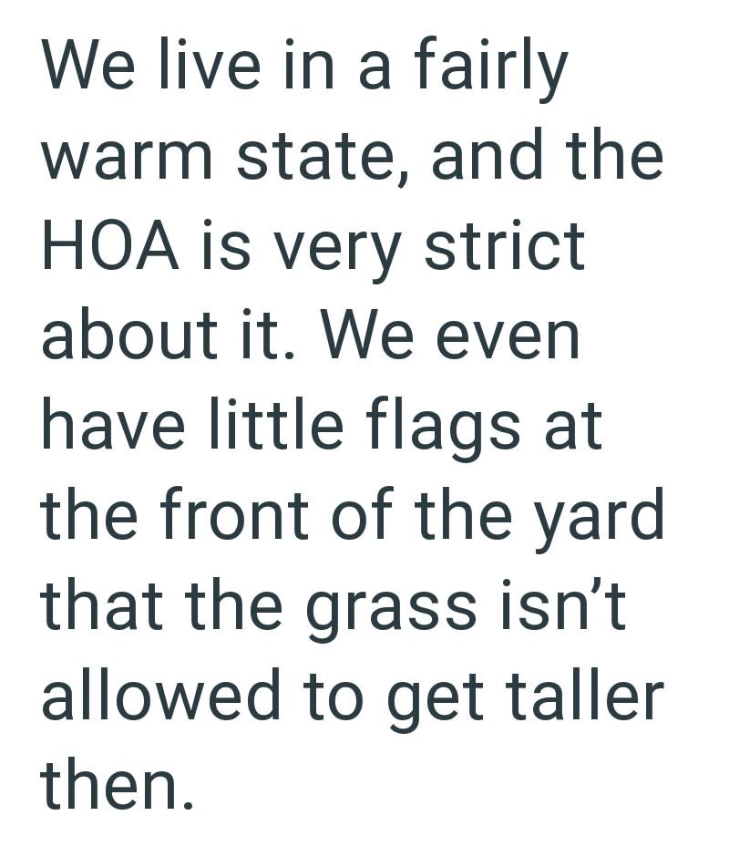 Cheezburger Image 10616215040