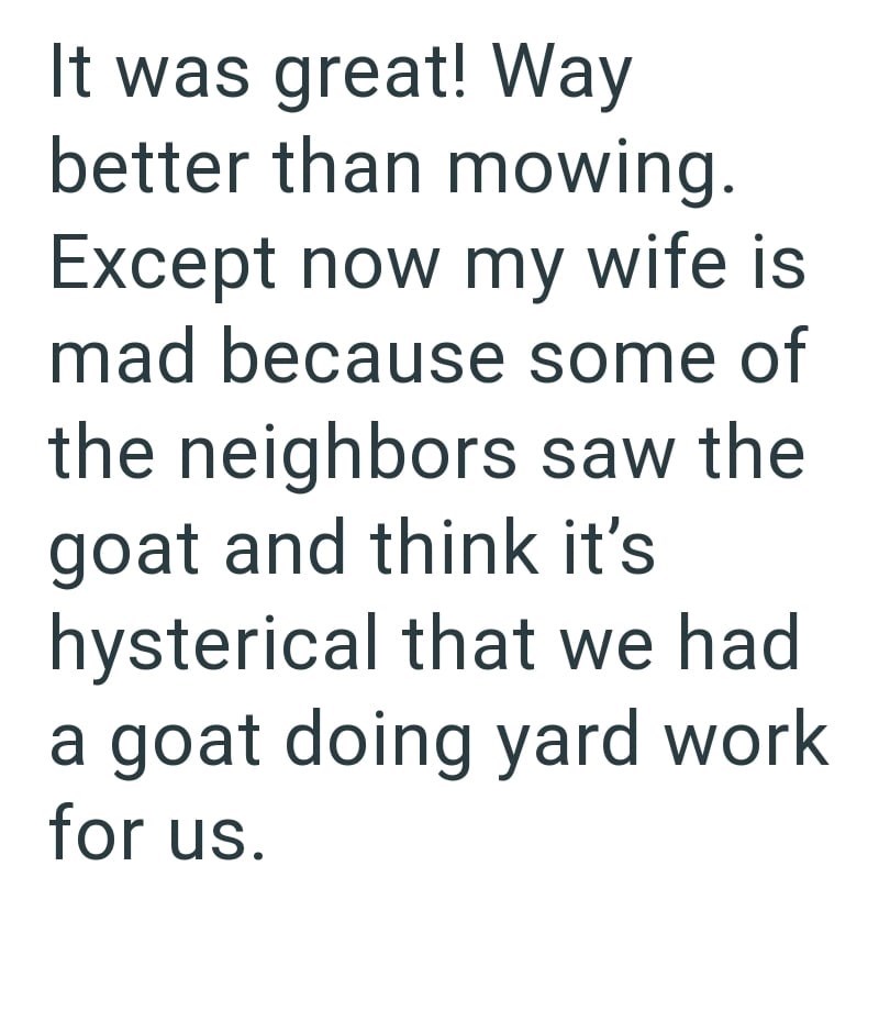 Cheezburger Image 10616216064