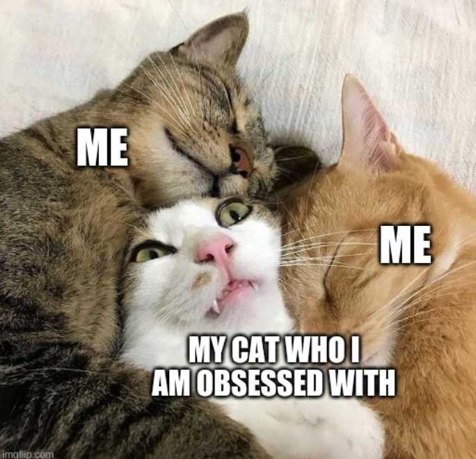 imgflip.com ME MY CAT WHO I ME AM OBSESSED WITH