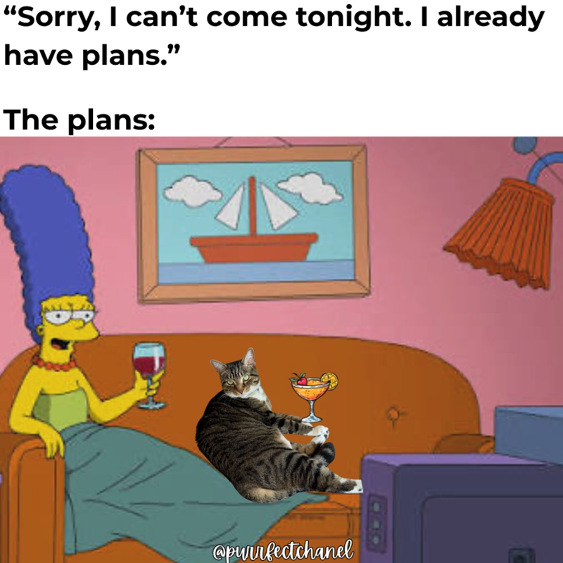 "Sorry, I can't come tonight. I already have plans." The plans: @purrfectchanel