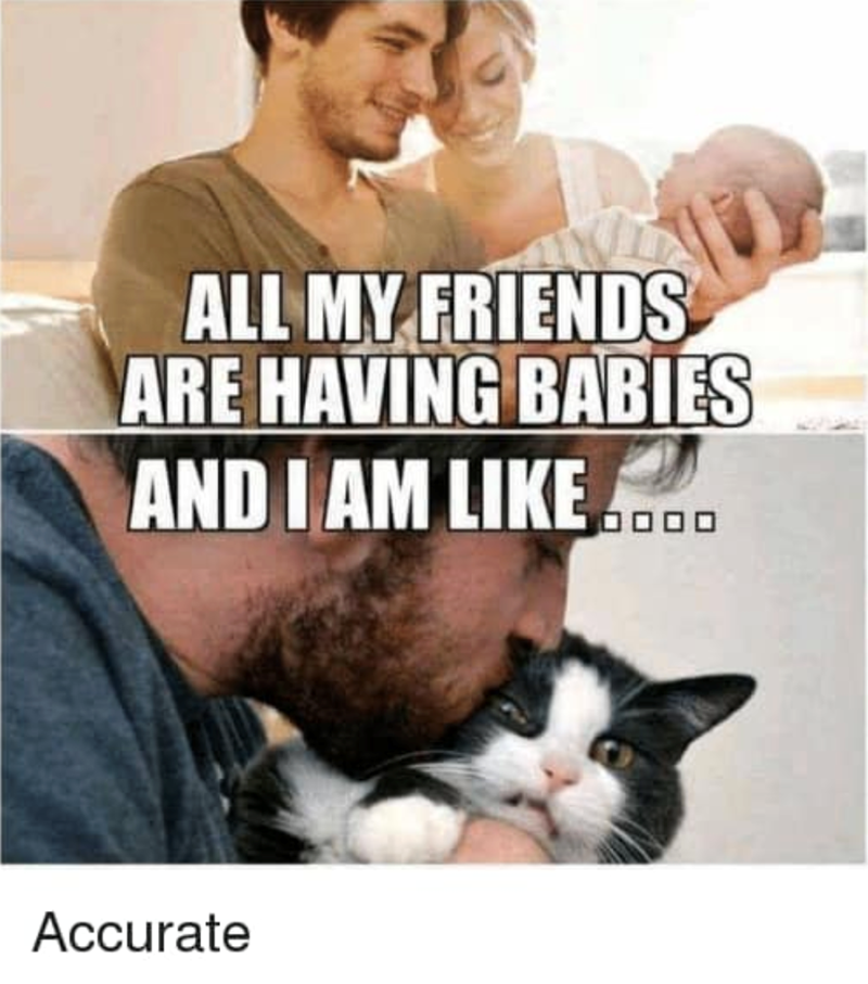 ALL MY FRIENDS ARE HAVING BABIES AND I AM LIKE 0 Accurate