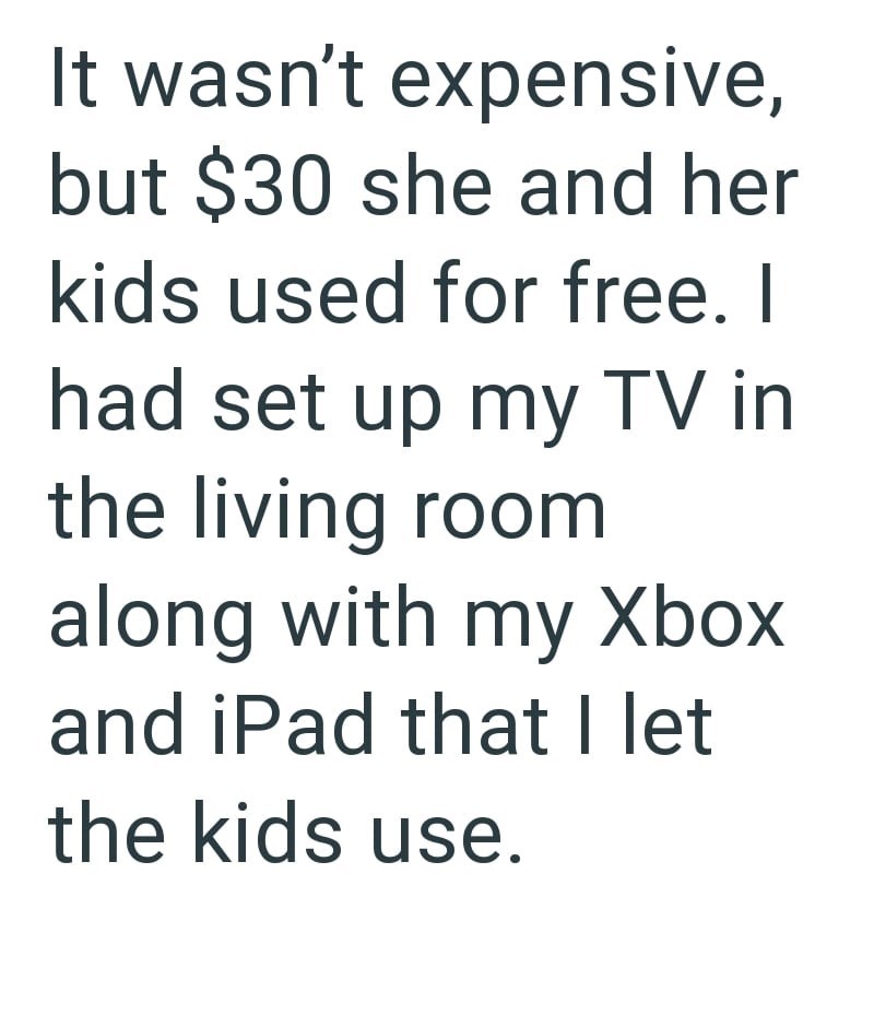 It wasn't expensive, but $30 she and her kids used for free. I had set up my TV in the living room along with my Xbox and iPad that I let the kids use.