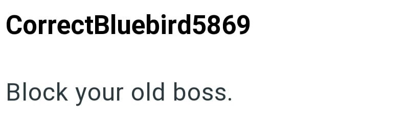 CorrectBluebird5869 Block your old boss.