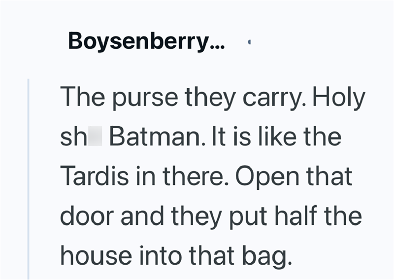 Boysenberry... The purse they carry. Holy sh Batman. It is like the Tardis in there. Open that door and they put half the house into that bag.