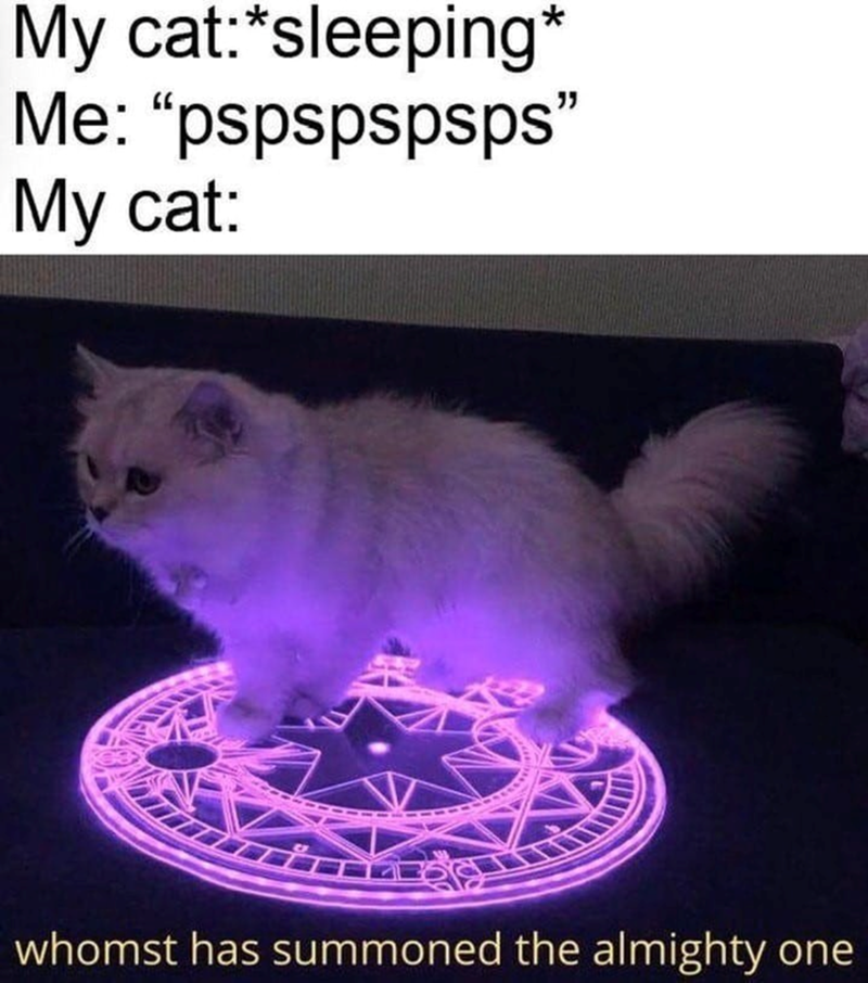 My cat:*sleeping* Me: "pspspspsps" My cat: whomst has summoned the almighty one