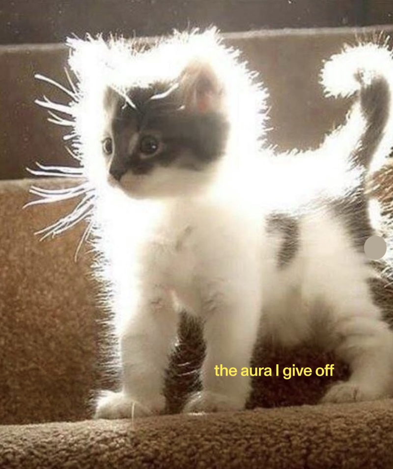 the aura I give off