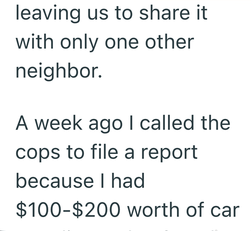 leaving us to share it with only one other neighbor. A week ago I called the cops to file a report because I had $100-$200 worth of car