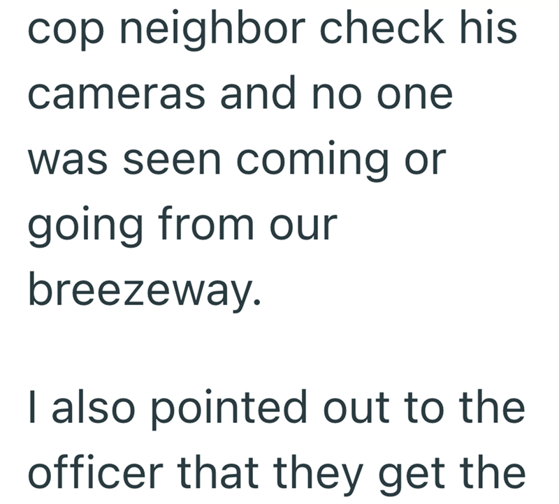 cop neighbor check his cameras and no one was seen coming or going from our breezeway. I also pointed out to the officer that they get the
