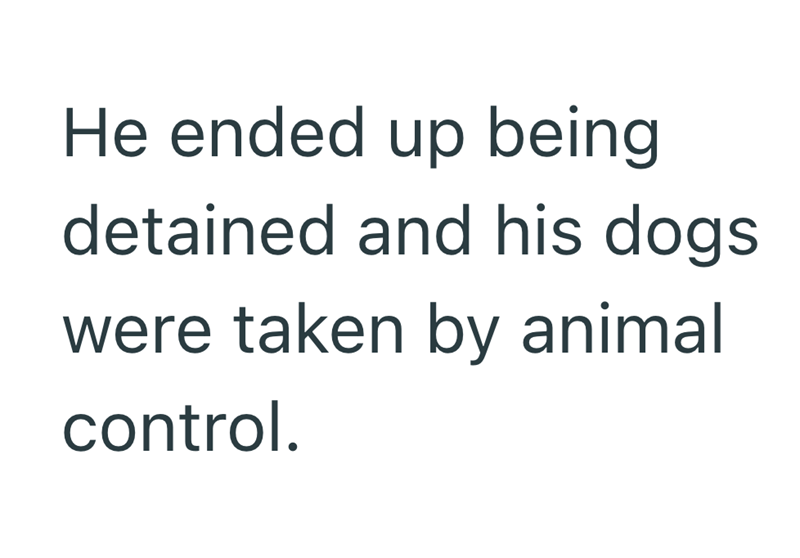 He ended up being detained and his dogs were taken by animal control.