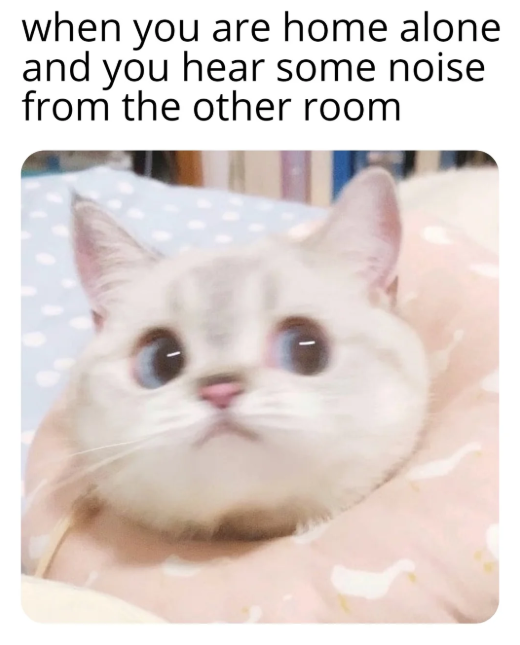 when you are home alone and you hear some noise from the other room
