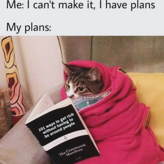 Me: I can't make it, I have plans My plans: 101 ways to get rich without having to be around people The Communist Manifesto