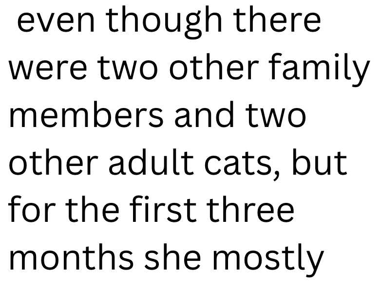 even though there were two other family members and two other adult cats, but for the first three months she mostly