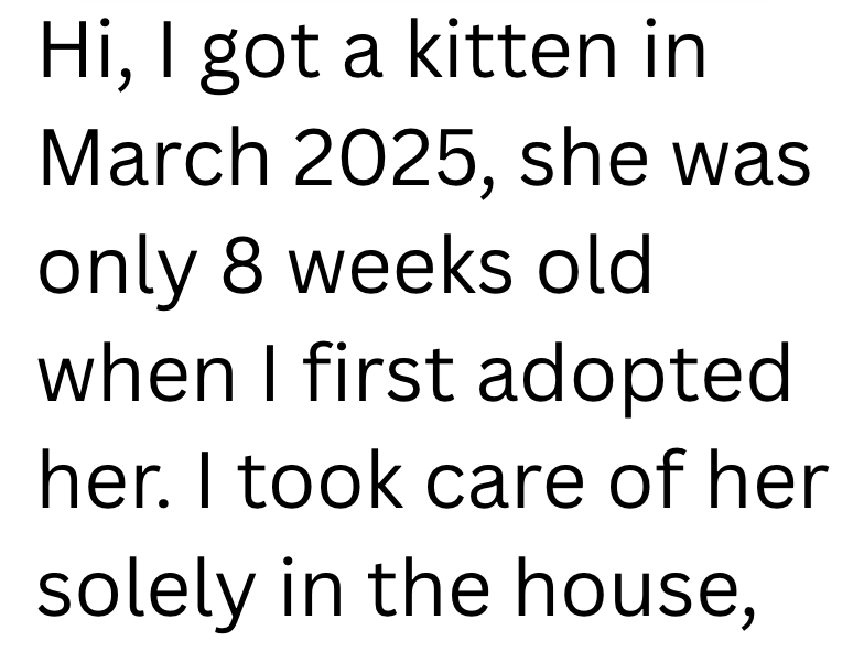 Hi, I got a kitten in March 2025, she was only 8 weeks old when I first adopted. her. I took care of her solely in the house,