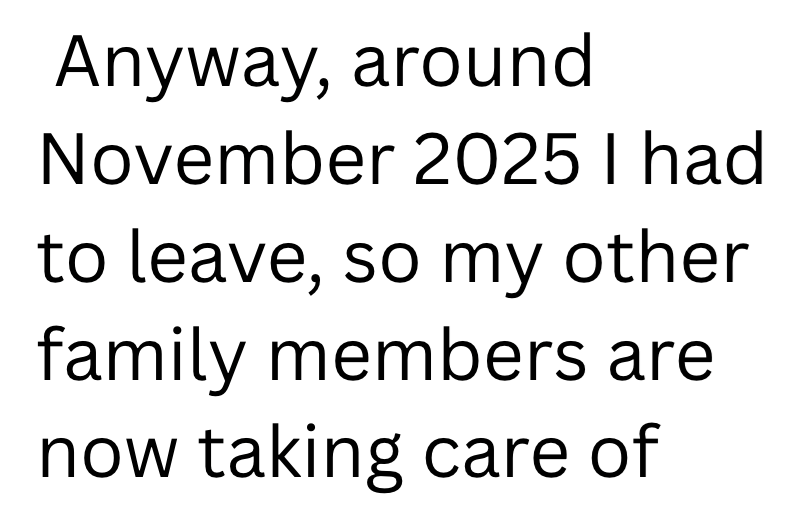 Anyway, around November 2025 I had to leave, so my other family members are now taking care of