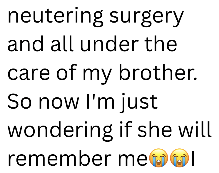 neutering surgery and all under the care of my brother. So now I'm just wondering if she will remember me