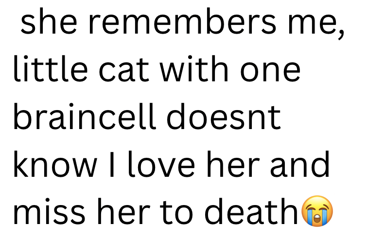 she remembers me, little cat with one braincell doesnt know I love her and miss her to death