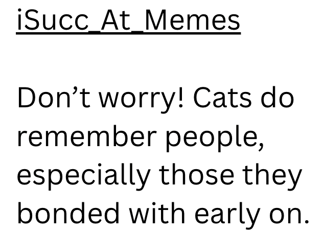 iSucc At Memes Don't worry! Cats do remember people, especially those they bonded with early on.