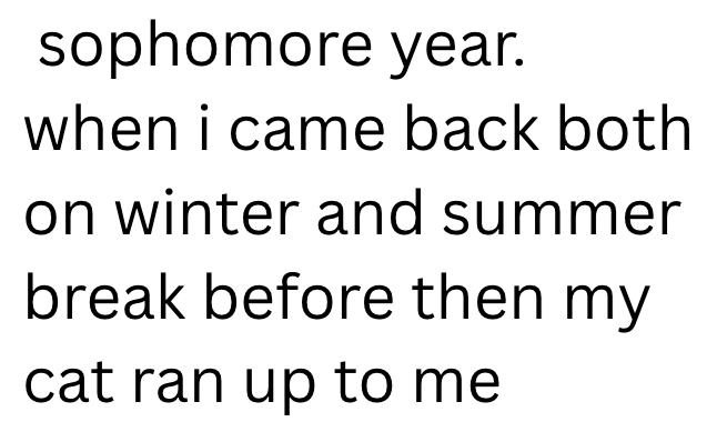 sophomore year. when i came back both on winter and summer break before then my cat ran up to me