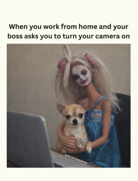 When you work from home and your boss asks you to turn your camera on theminidachshund
