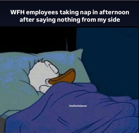 WFH employees taking nap in afternoon after saying nothing from my side the9to5slaves