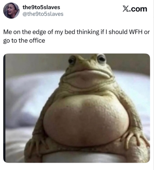the9to5slaves @the9to5slaves X.com Me on the edge of my bed thinking if I should WFH or go to the office