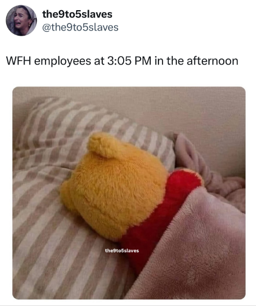the9to5slaves @the9to5slaves WFH employees at 3:05 PM in the afternoon the 9to5slaves
