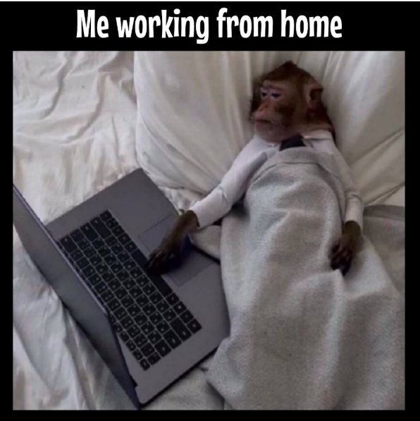Me working from home