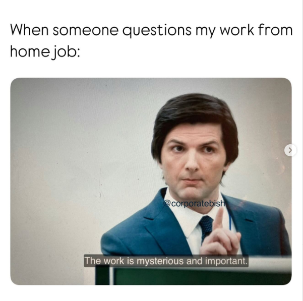 When someone questions my work from home job: @corporatebish The work is mysterious and important.