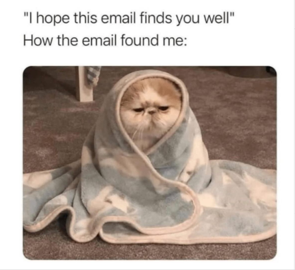 "I hope this email finds you well" How the email found me: