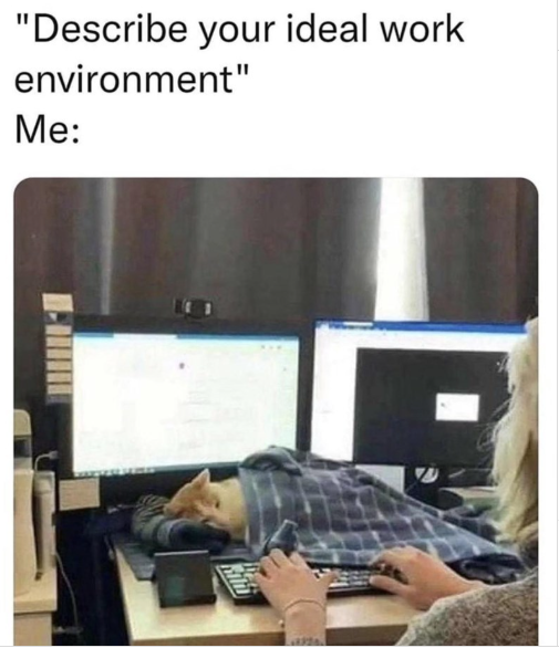 "Describe your ideal work environment" Me: