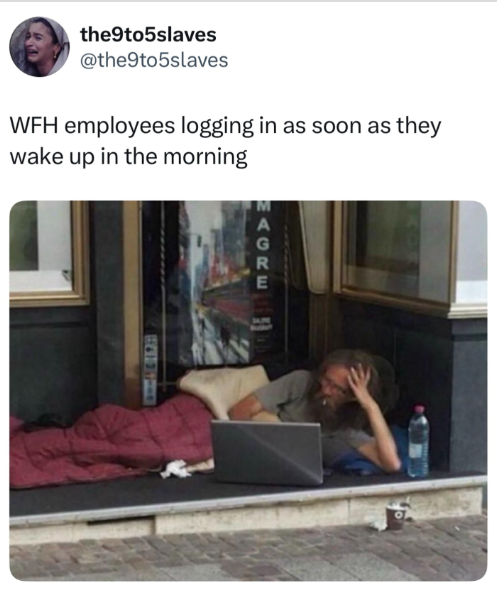 the9to5slaves @the9to5slaves WFH employees logging in as soon as they wake up in the morning MAGRE