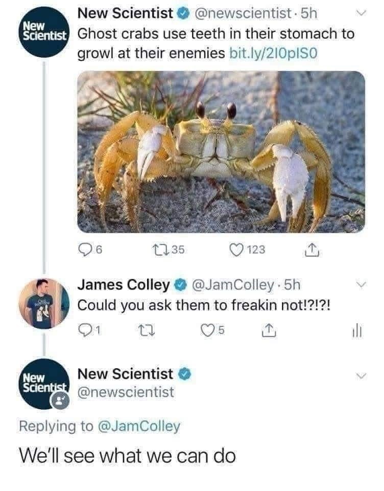 New New Scientist @newscientist. 5h Scientist Ghost crabs use teeth in their stomach to growl at their enemies bit.ly/210plSO 6 1735 123 James Colley Could you ask them to freakin not!?!?! @JamColley. 5h Q1 27 5 New New Scientist Scientist @newscientist Replying to @JamColley We'll see what we can do