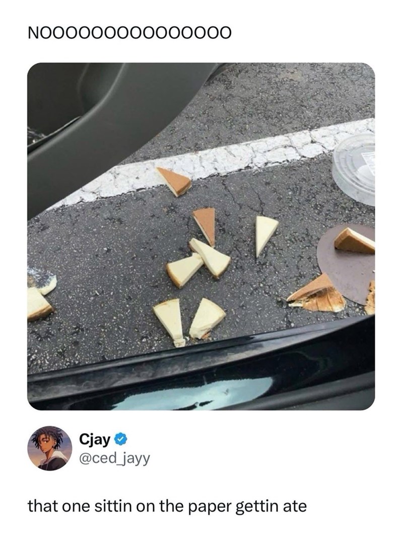 NOOOOOOOOOOOOOOO Cjay⭑ @ced_jayy that one sittin on the paper gettin ate