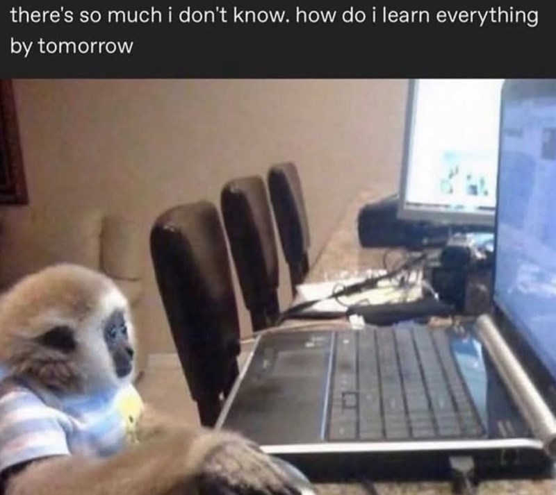 there's so much i don't know. how do i learn everything by tomorrow