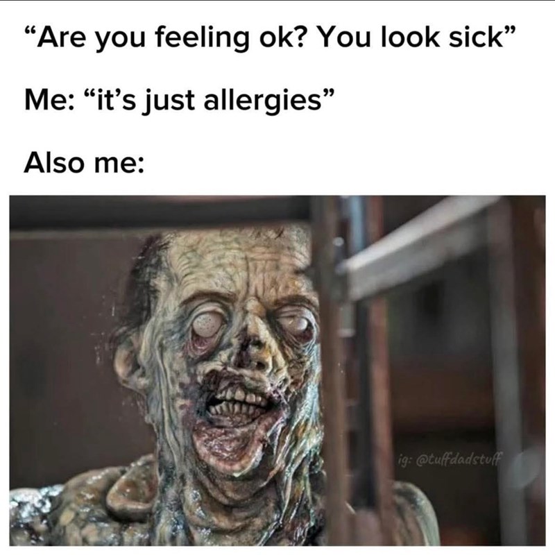 "Are you feeling ok? You look sick" Me: “it's just allergies" Also me: ig: @tuffdadstuff