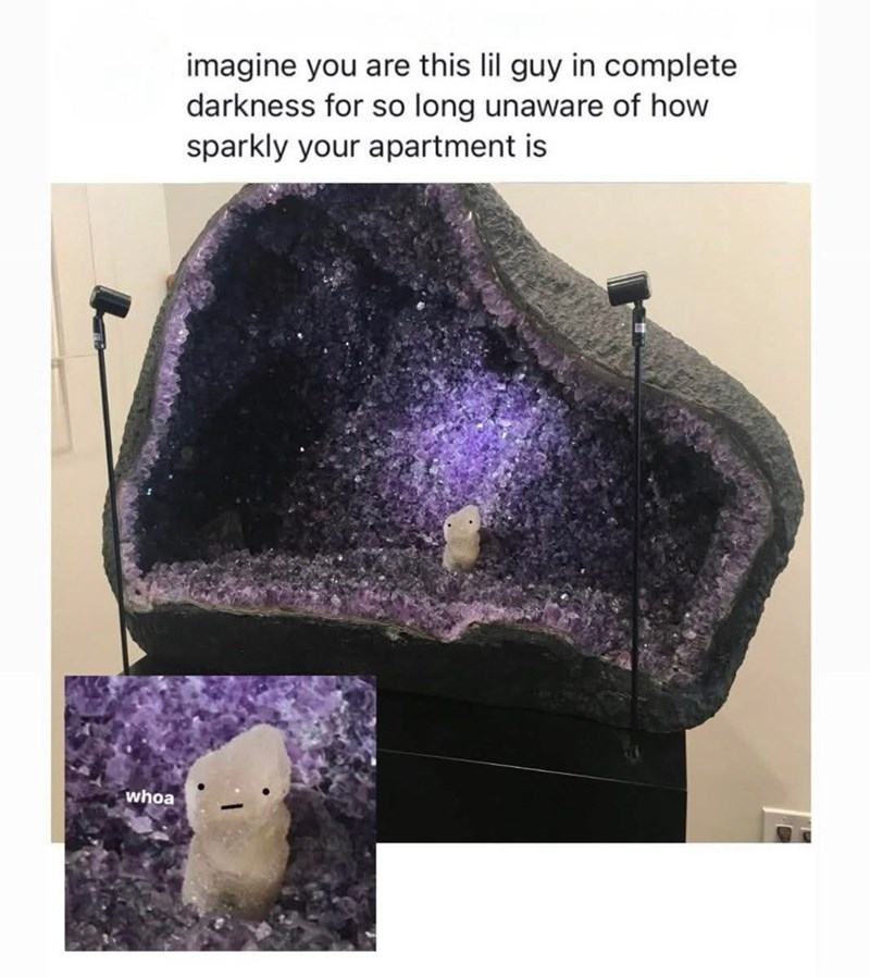 whoa imagine you are this lil guy in complete darkness for so long unaware of how sparkly your apartment is