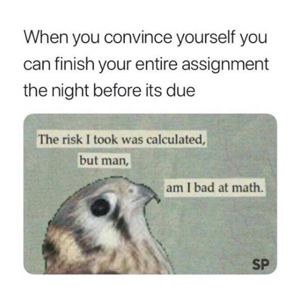 When you convince yourself you can finish your entire assignment the night before its due The risk I took was calculated, but man, am I bad at math. SP